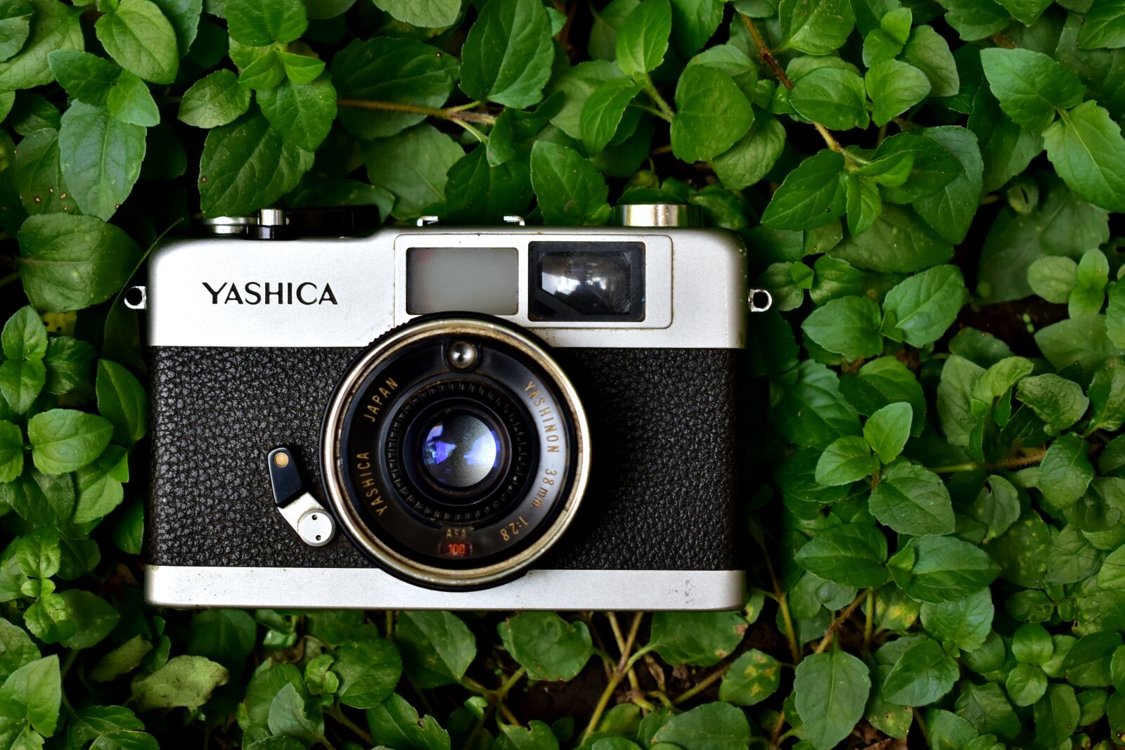 Nikon D5600 sample photo. Camera, photography, old photography