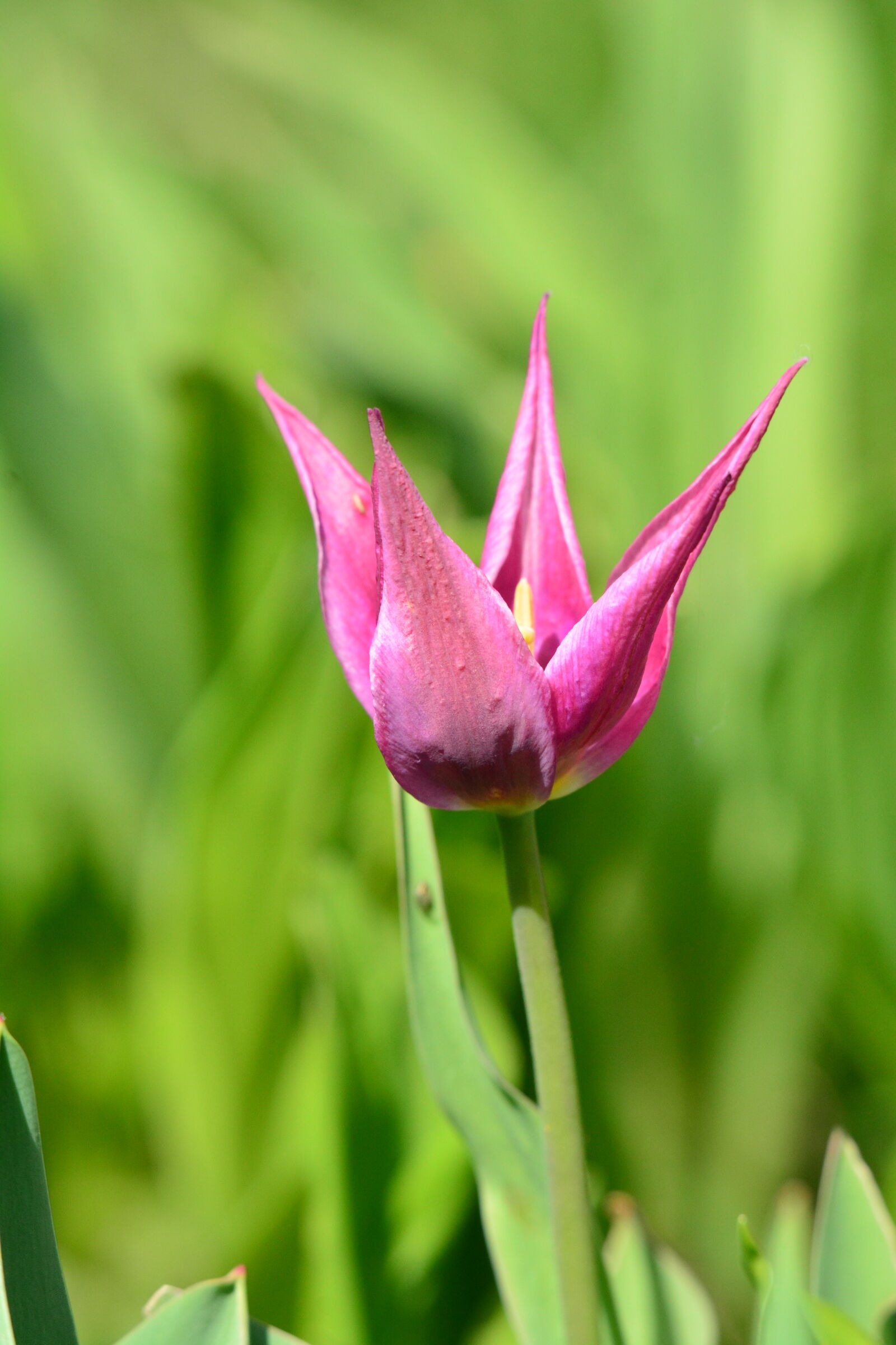 Nikon D7100 sample photo