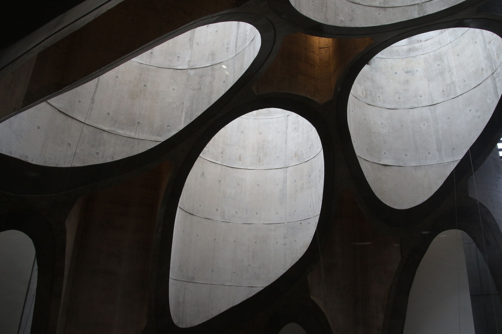 Canon EOS 7D Mark II sample photo. Architecture, art, art, gallery photography