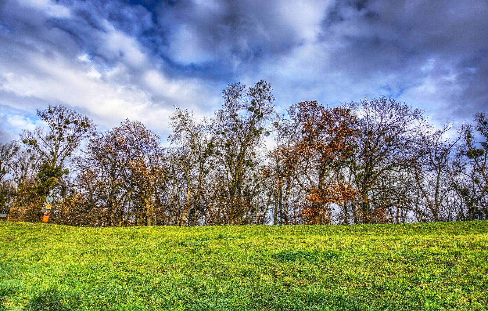 Sony E 16-50mm F3.5-5.6 PZ OSS sample photo. Trees, canopy, meadow photography