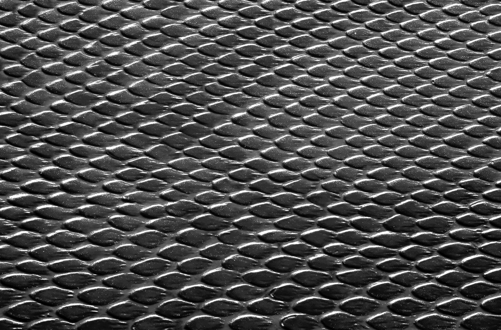 Nikon D700 sample photo. Texture, carapace, reptile photography
