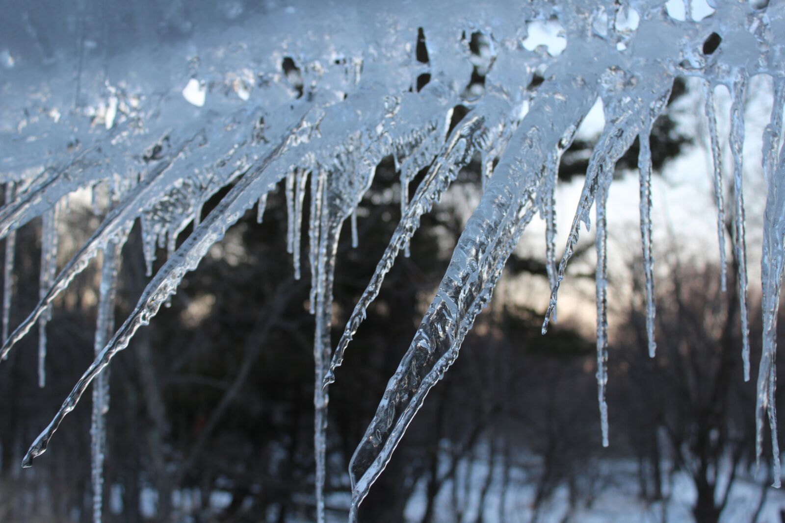 Canon EOS 1200D (EOS Rebel T5 / EOS Kiss X70 / EOS Hi) sample photo. Icicles, winter, cold photography