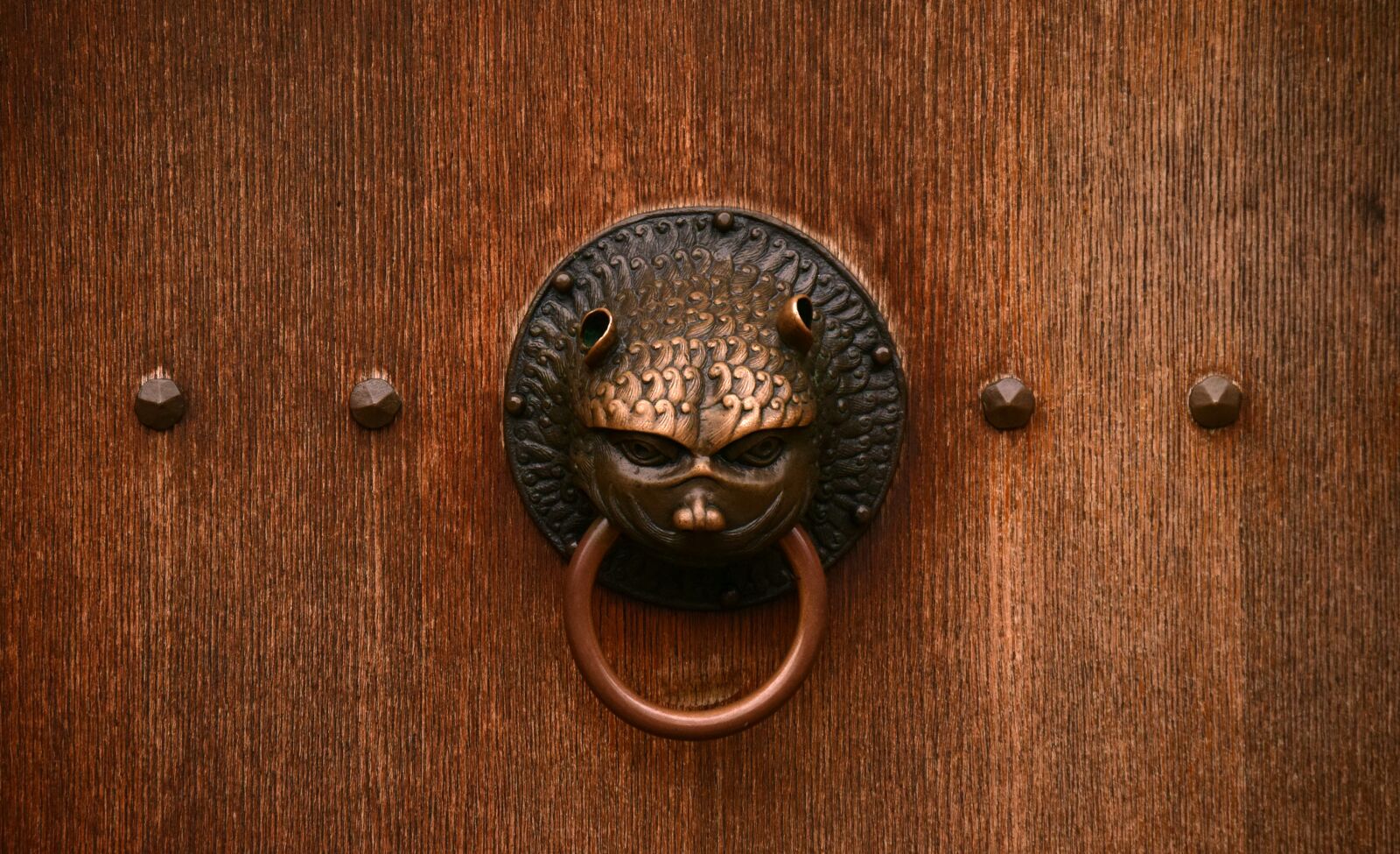 Nikon D3300 sample photo. Door, close up, old photography