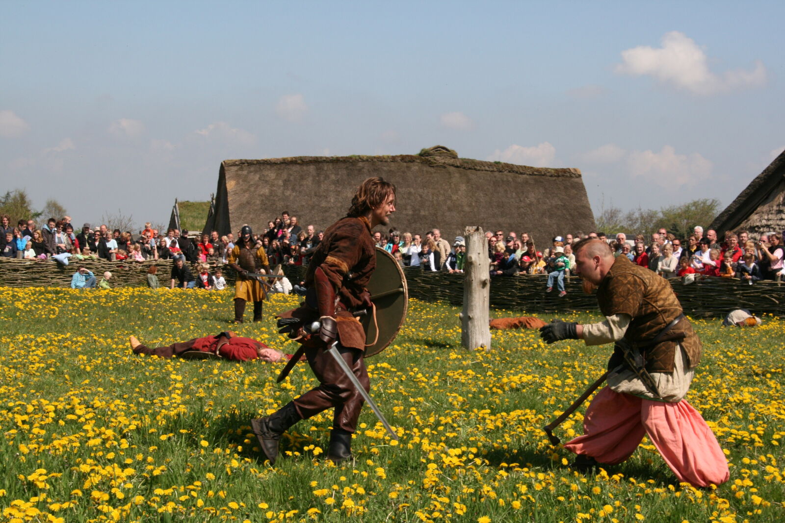 Sigma 18-200mm f/3.5-6.3 DC OS sample photo. Vikings photography