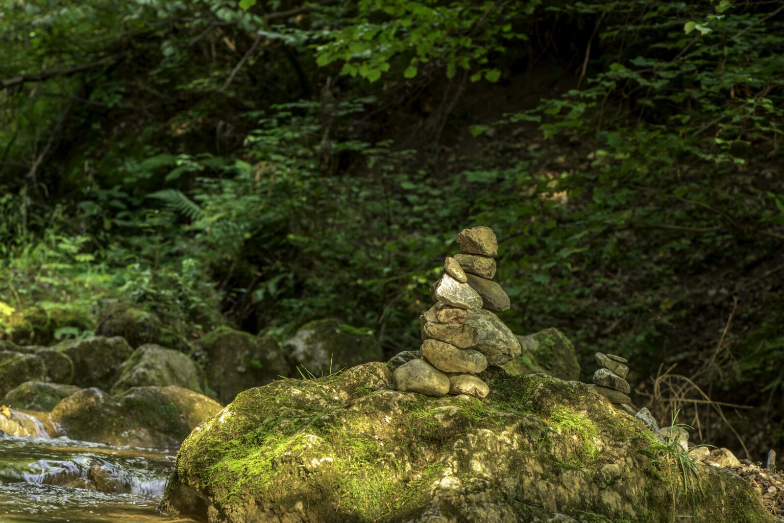Nikon D750 sample photo. Waterfall bear protective gorge photography