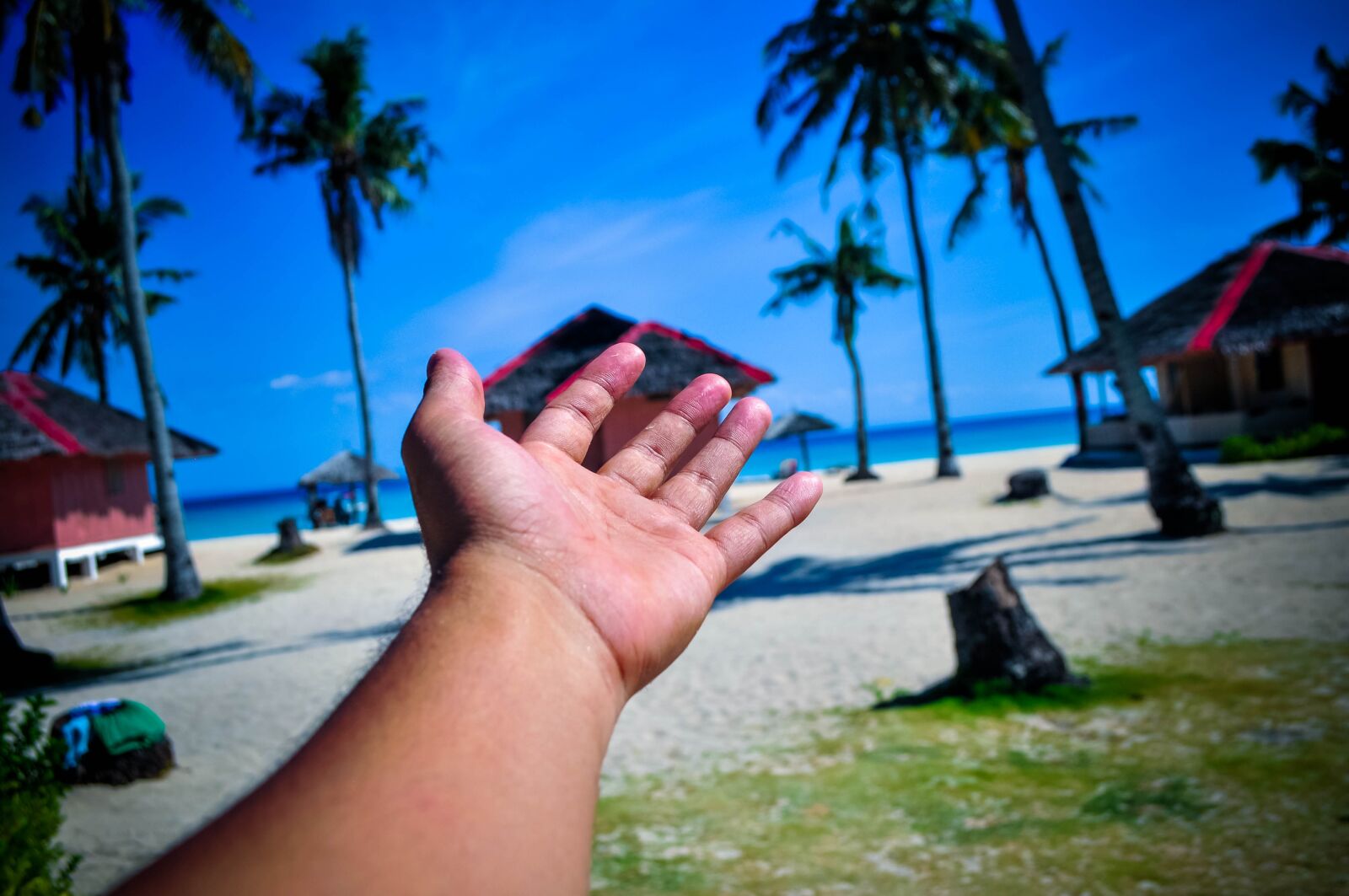 Nikon D5000 sample photo. Beach, palm, seashore photography