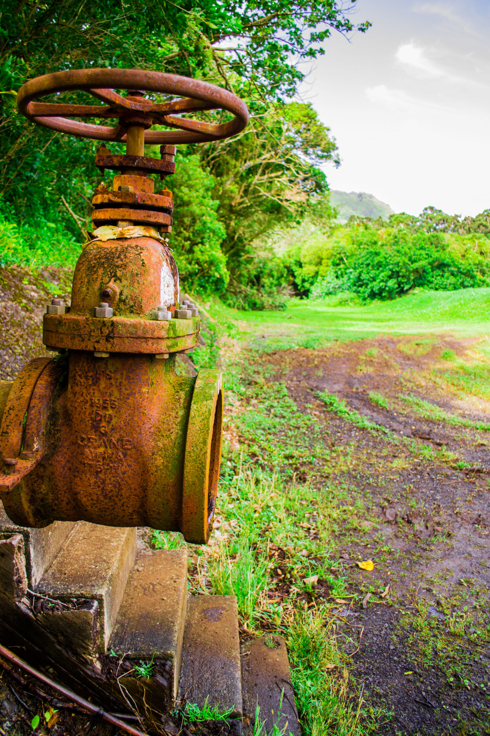 Nikon D3100 sample photo. Hawaii, nature, pipe photography