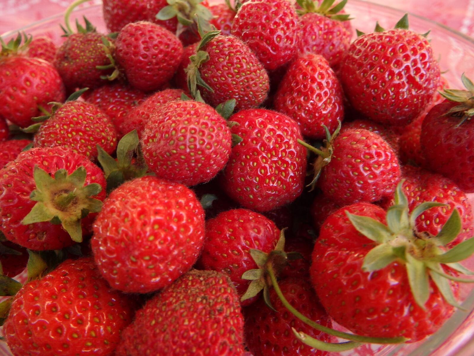Olympus SP-100EE sample photo. Food, spring, strawberries photography