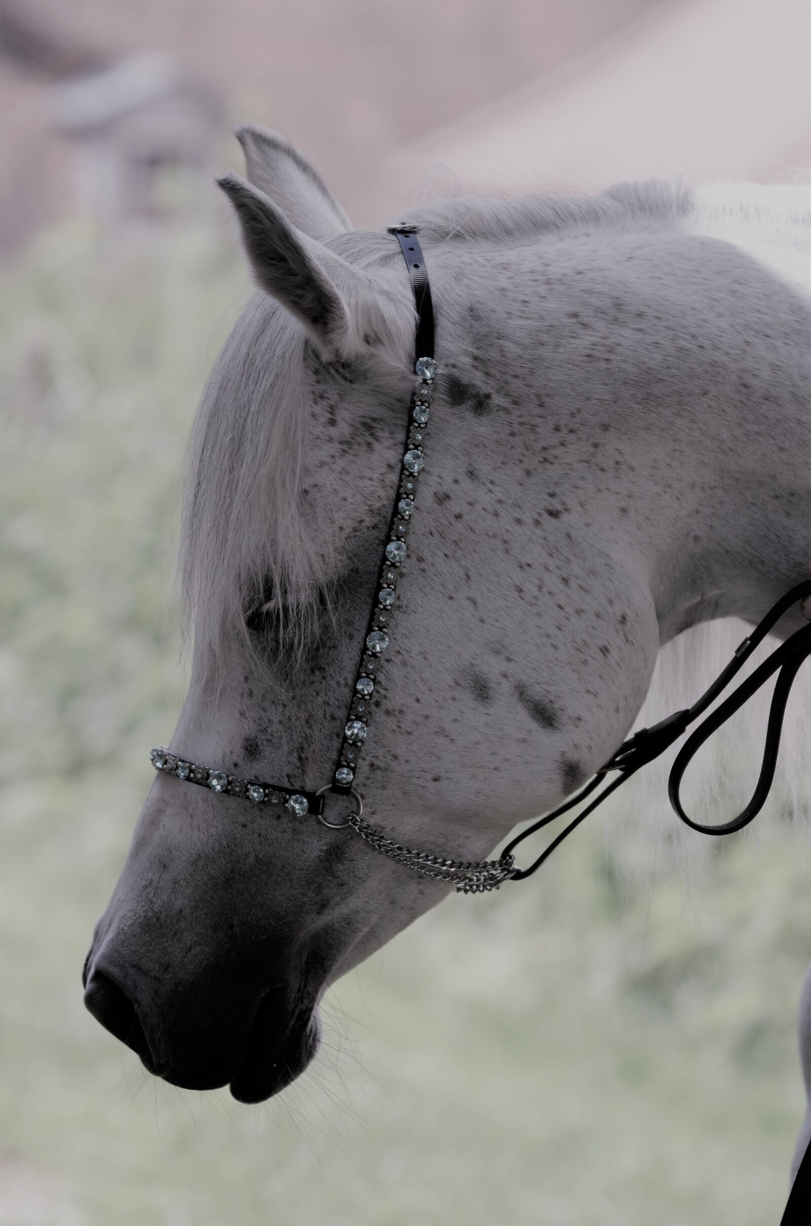 Nikon D5100 sample photo. Main and state stud photography