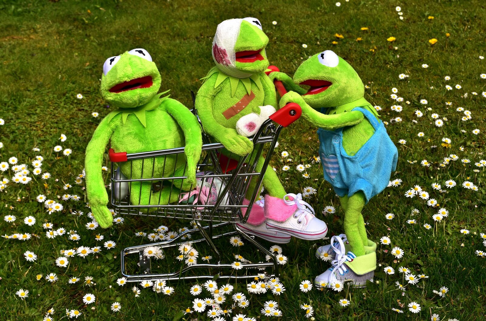 Nikon D7200 sample photo. Kermit, frog, plush toys photography