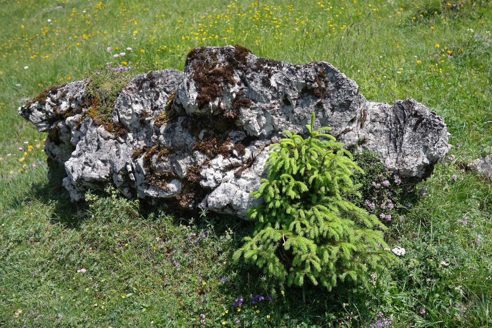 Samsung NX300 sample photo. Stone, limestone, rock photography