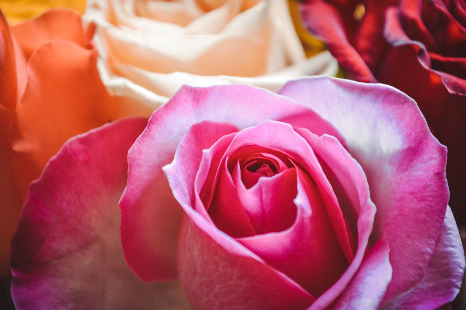 Nikon D3200 sample photo. International women's day, march photography