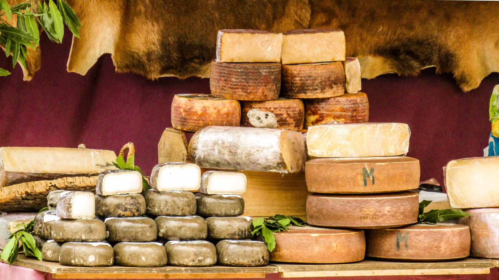 Canon PowerShot SX410 IS sample photo. Cheese, sheep cheese, goat photography