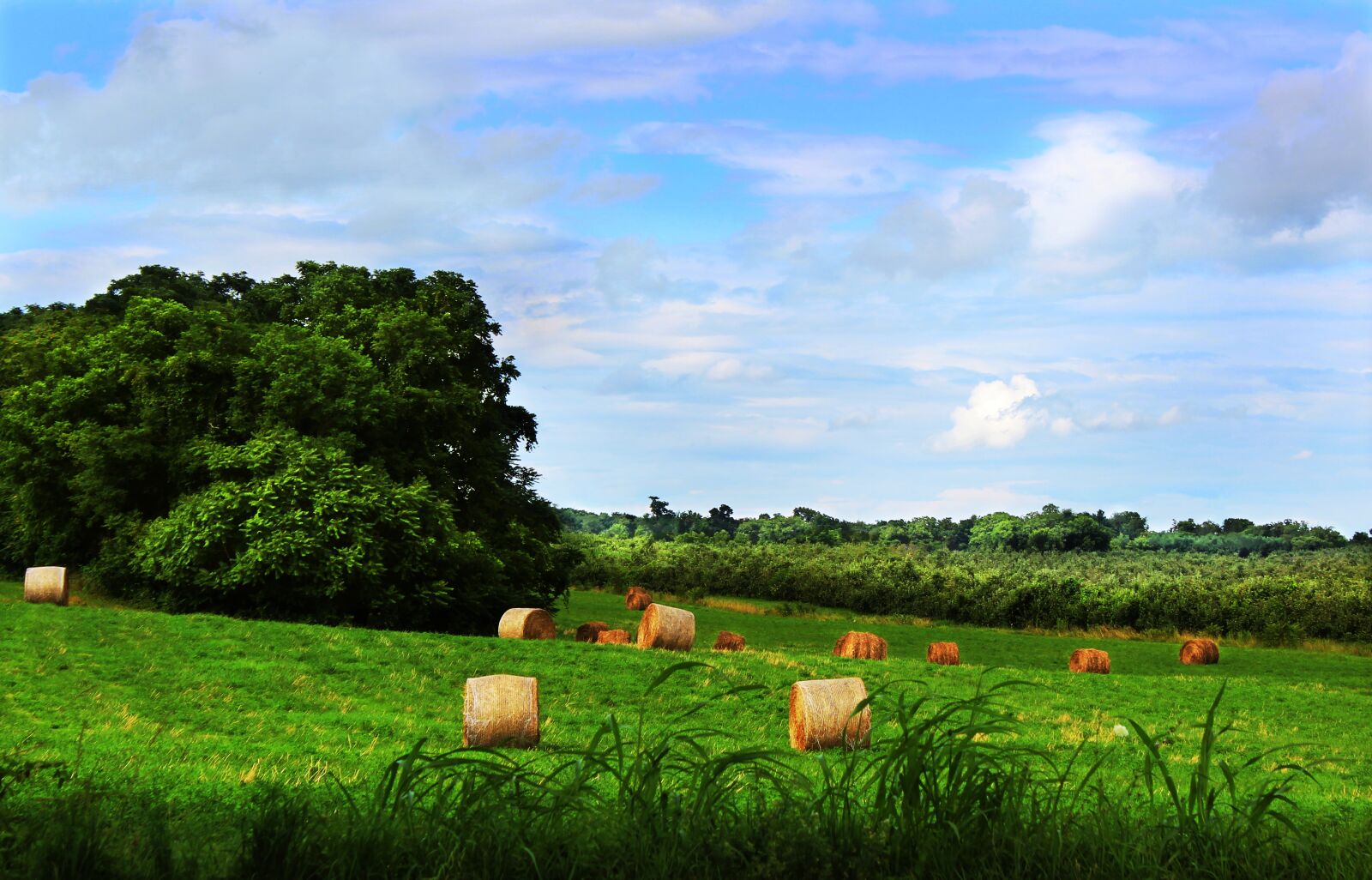 Canon EOS 600D (Rebel EOS T3i / EOS Kiss X5) sample photo. Hay bales, shenandoah valley photography