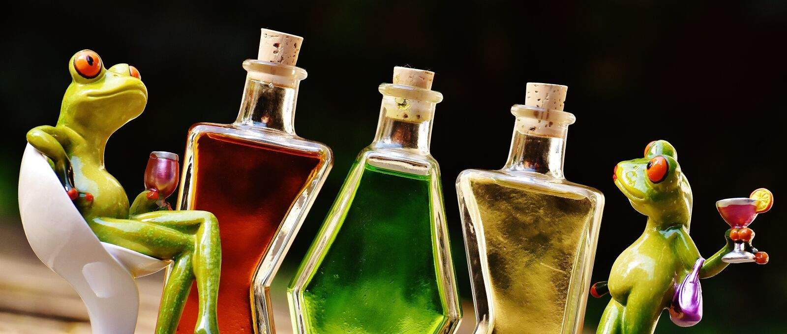 Nikon D7200 sample photo. Frogs, beverages, bottles photography