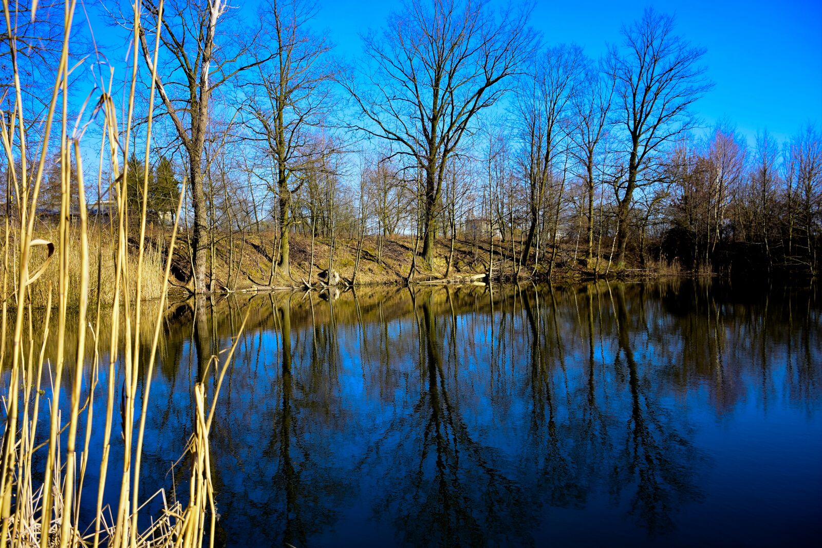 Nikon D7200 sample photo. Water, sky, nature photography