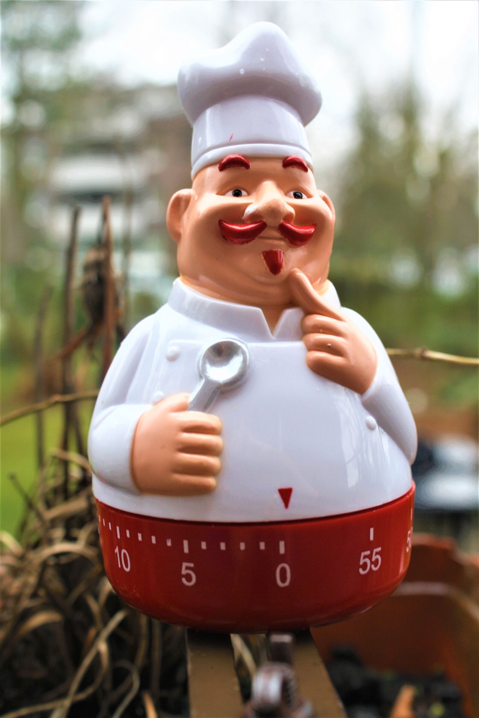 Canon EOS 1000D (EOS Digital Rebel XS / EOS Kiss F) sample photo. Cooking, gourmet, haute cuisine photography