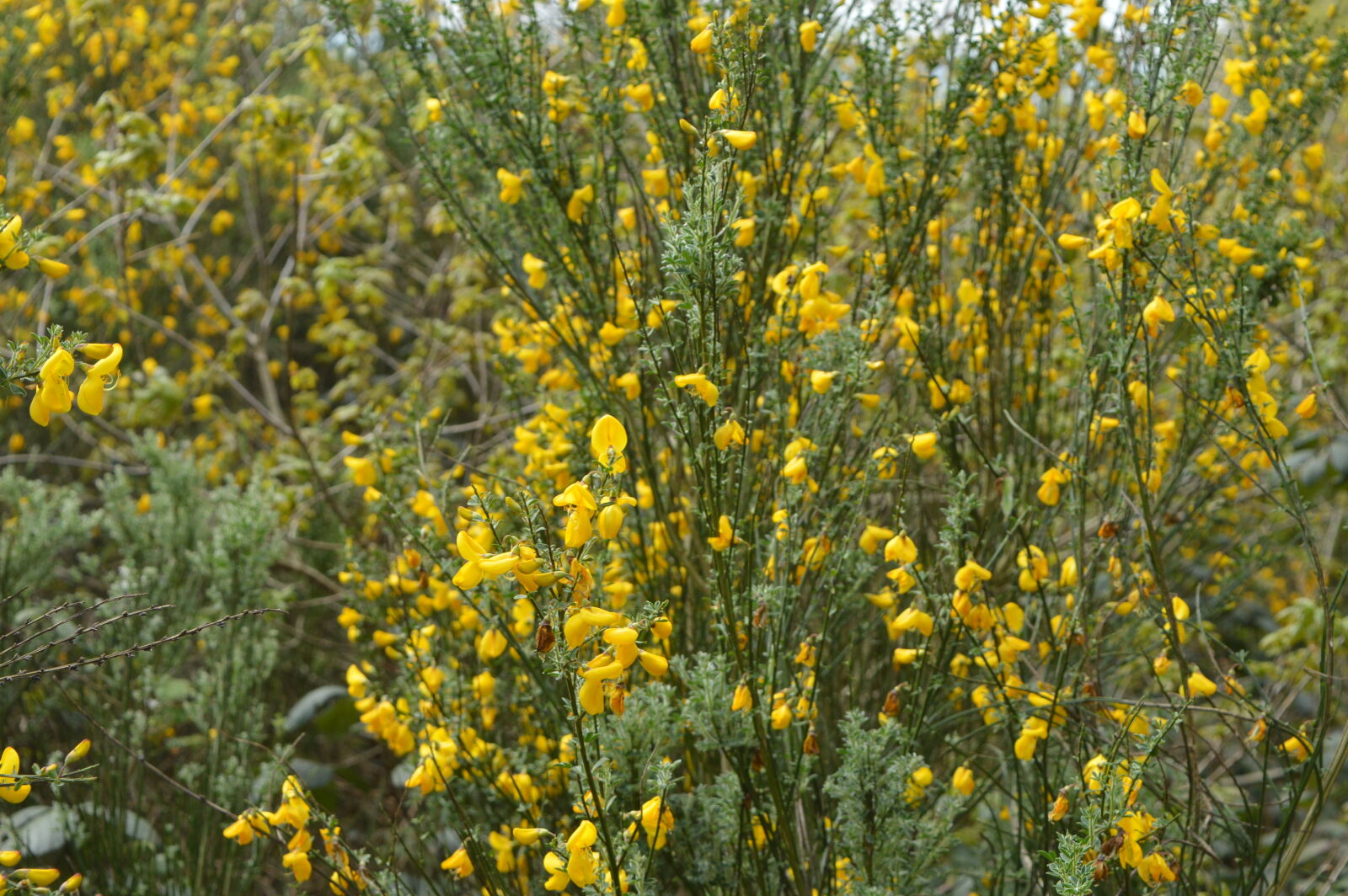 Nikon D3200 sample photo