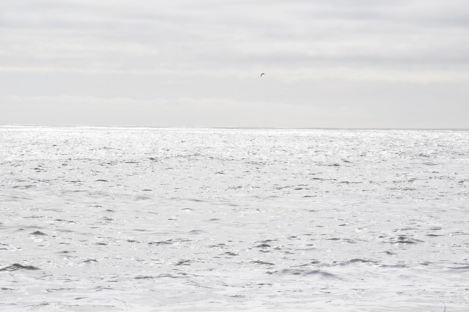 Nikon D5300 sample photo. Sea, light, mood photography