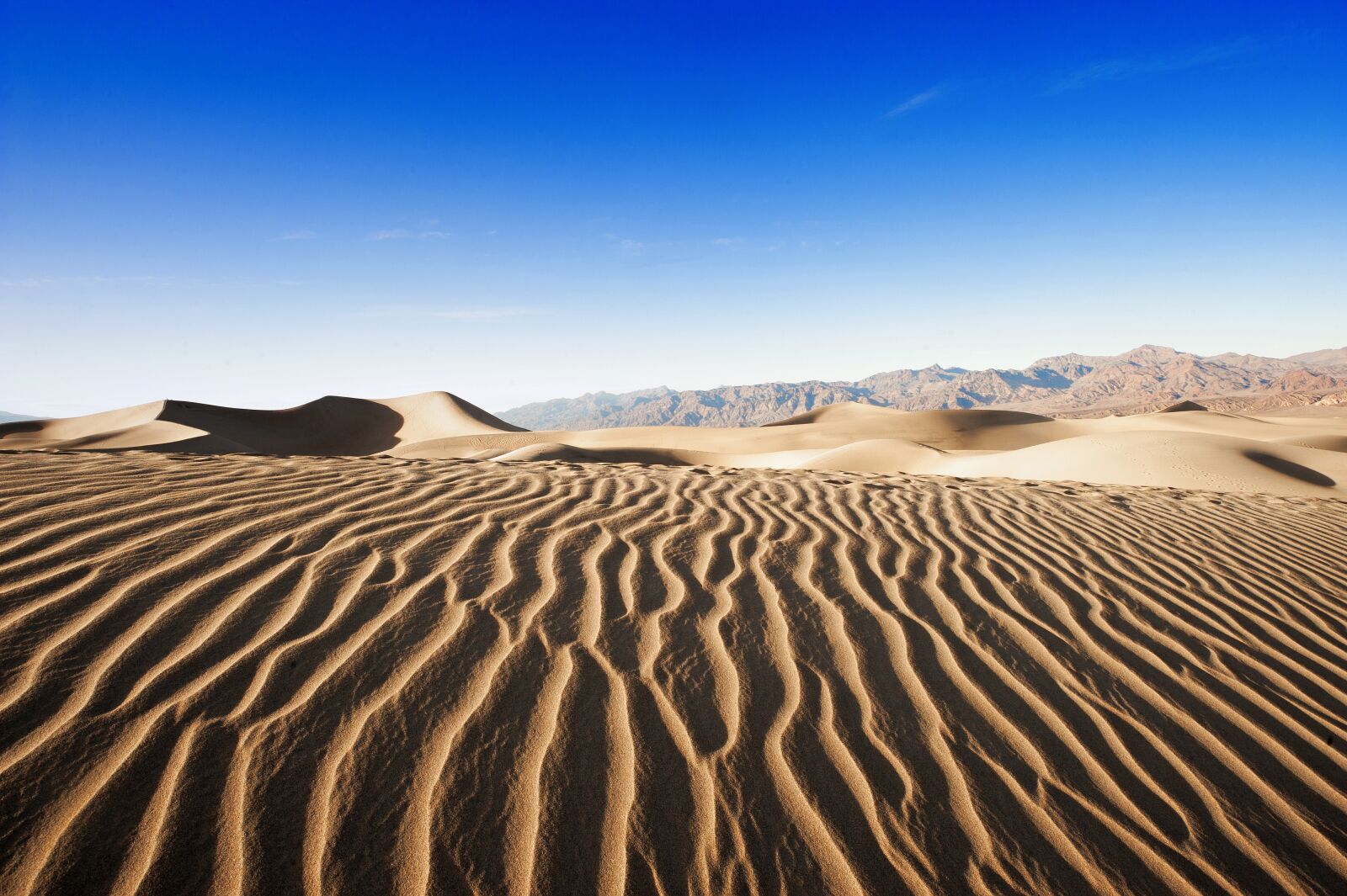 Nikon D700 sample photo. Desert, sand, dry photography