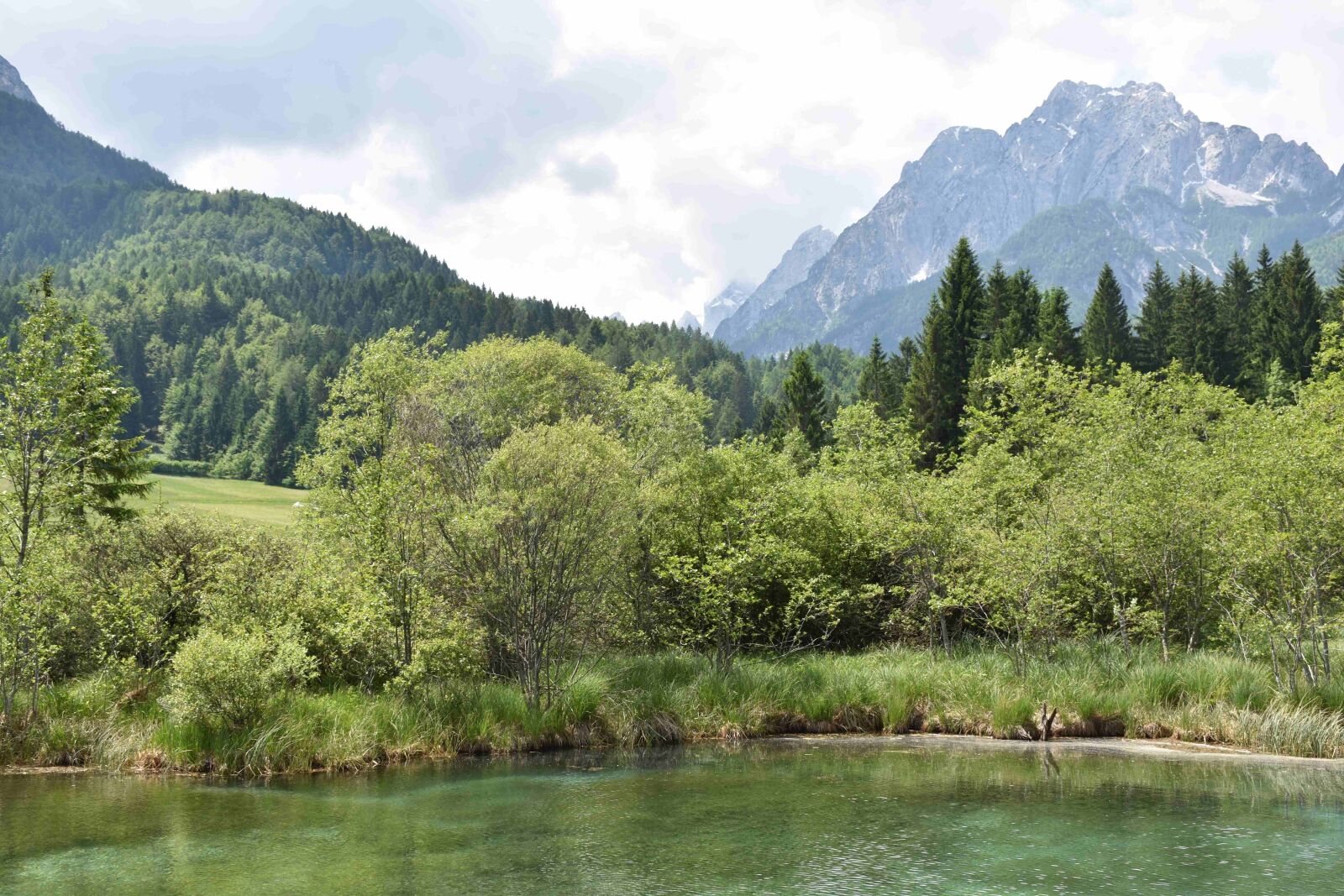 Nikon D5500 sample photo. Alps, mountain, snow photography