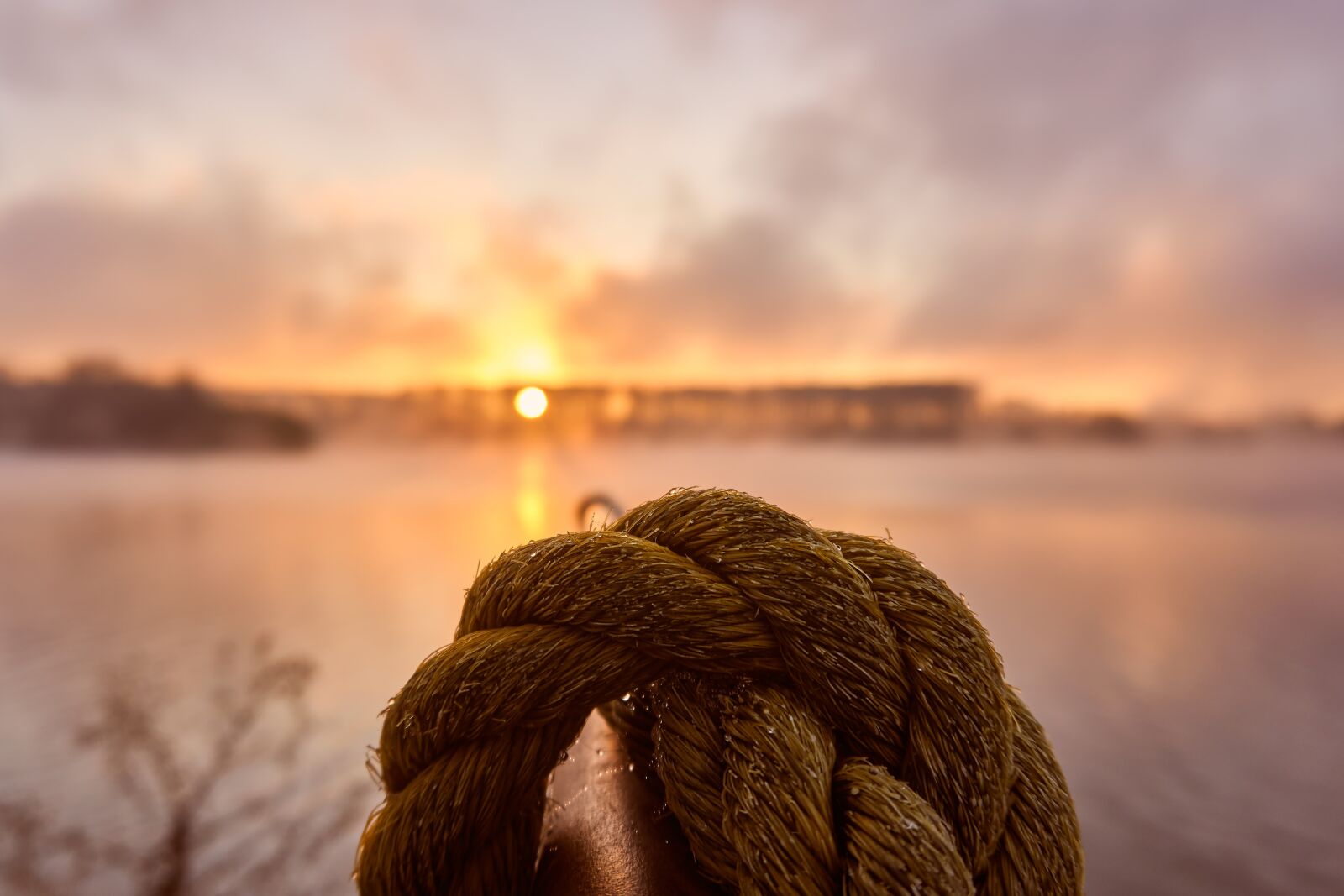 Sony a6400 sample photo. Dew, rope, sunrise photography