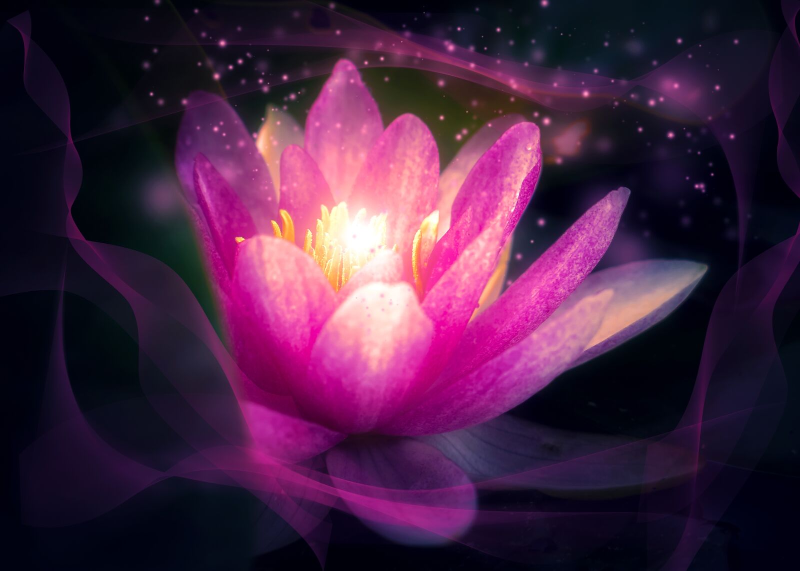 Canon PowerShot G16 sample photo. Flower, lotus, plant photography