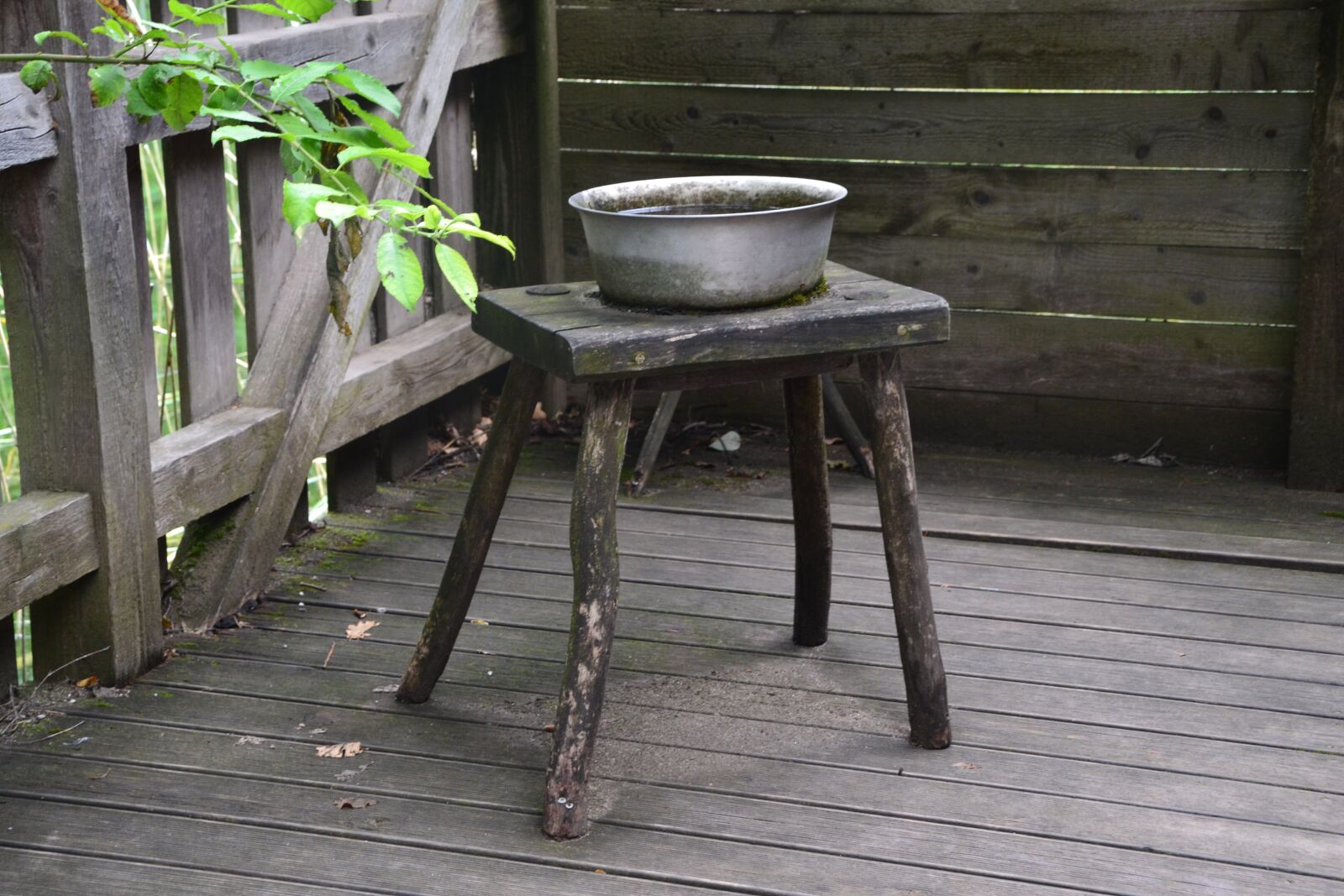 Nikon D3100 sample photo. Table, vessel, wood photography