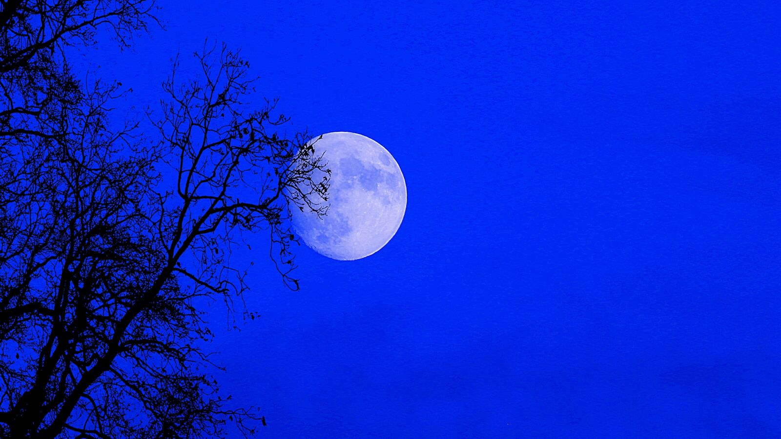 Canon EOS 5D Mark III sample photo. Moon, night, sky photography