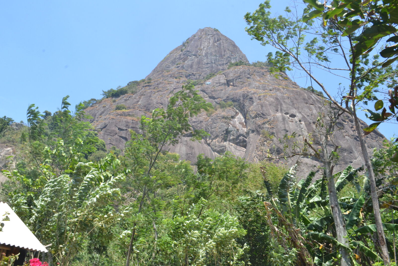 Nikon D3100 sample photo