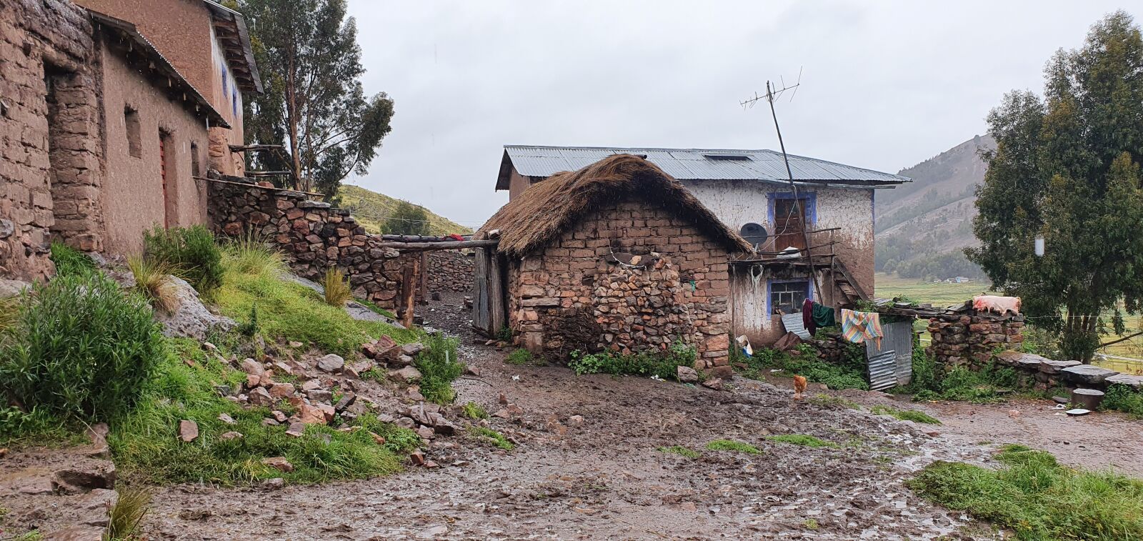 Samsung Galaxy S10+ sample photo. Puno, estate, cabin photography