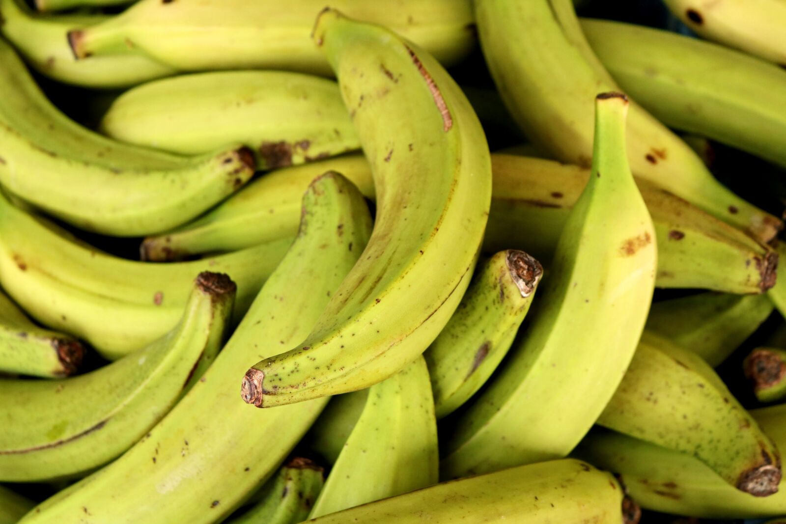 Canon EOS 750D (EOS Rebel T6i / EOS Kiss X8i) sample photo. Banana, market, fruit photography
