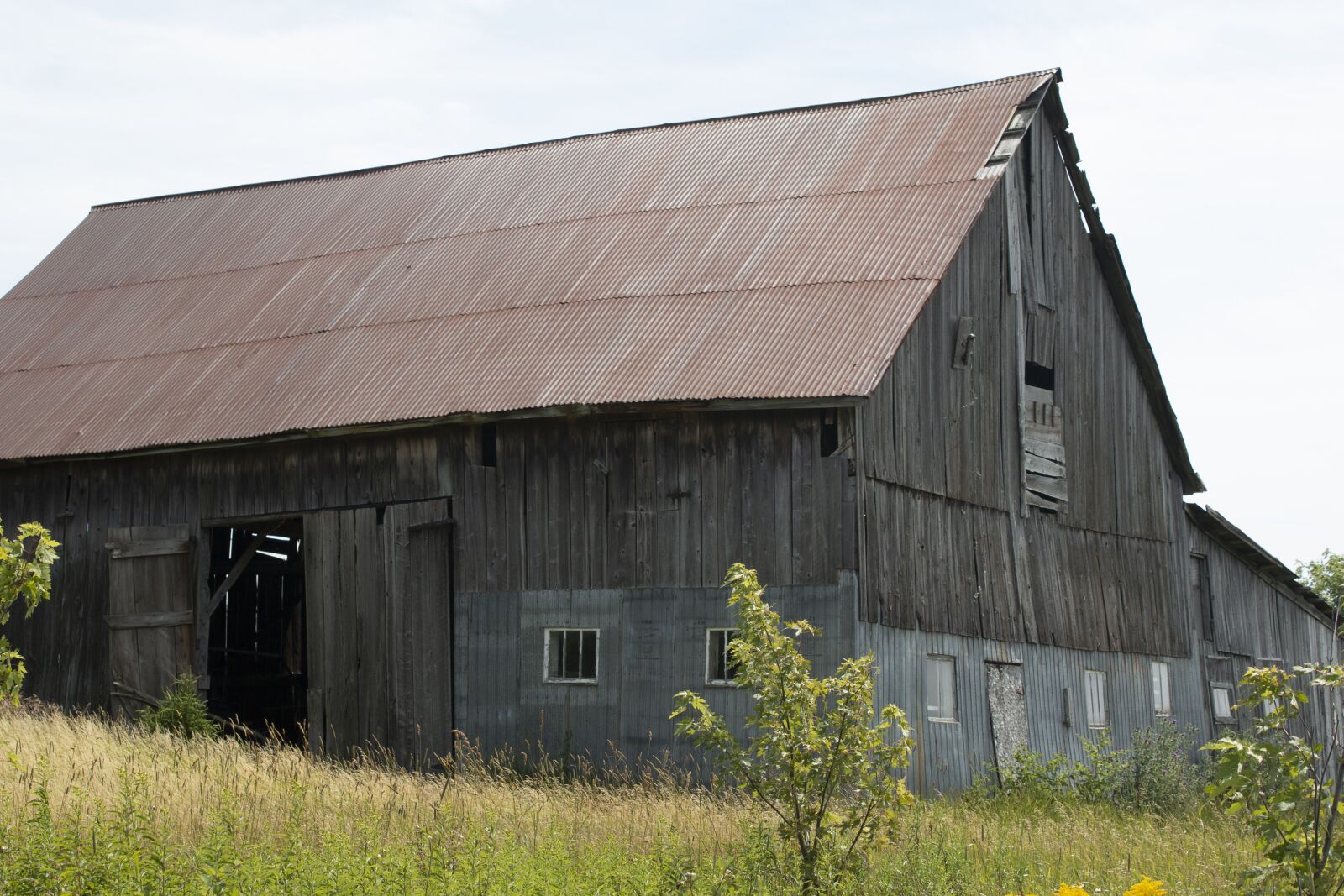 Canon EF-S 18-55mm F3.5-5.6 IS sample photo. Old, barn, field photography