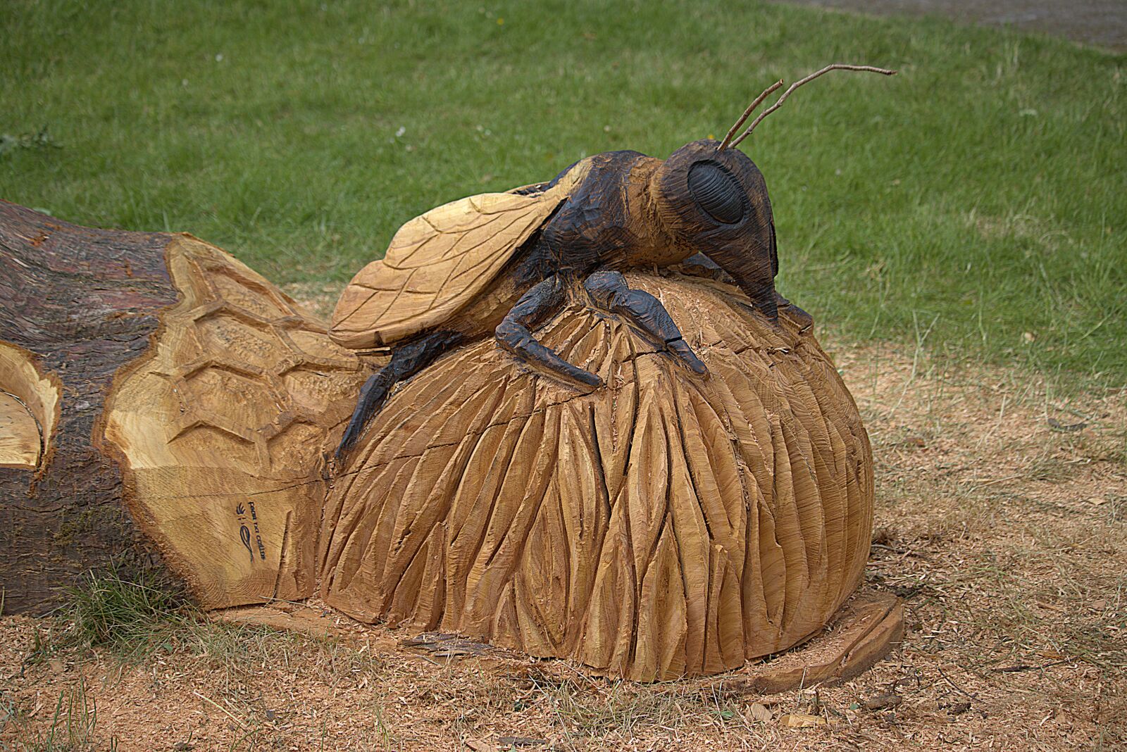 Canon EOS 90D sample photo. Wood carving, chainsaw, sculpture photography