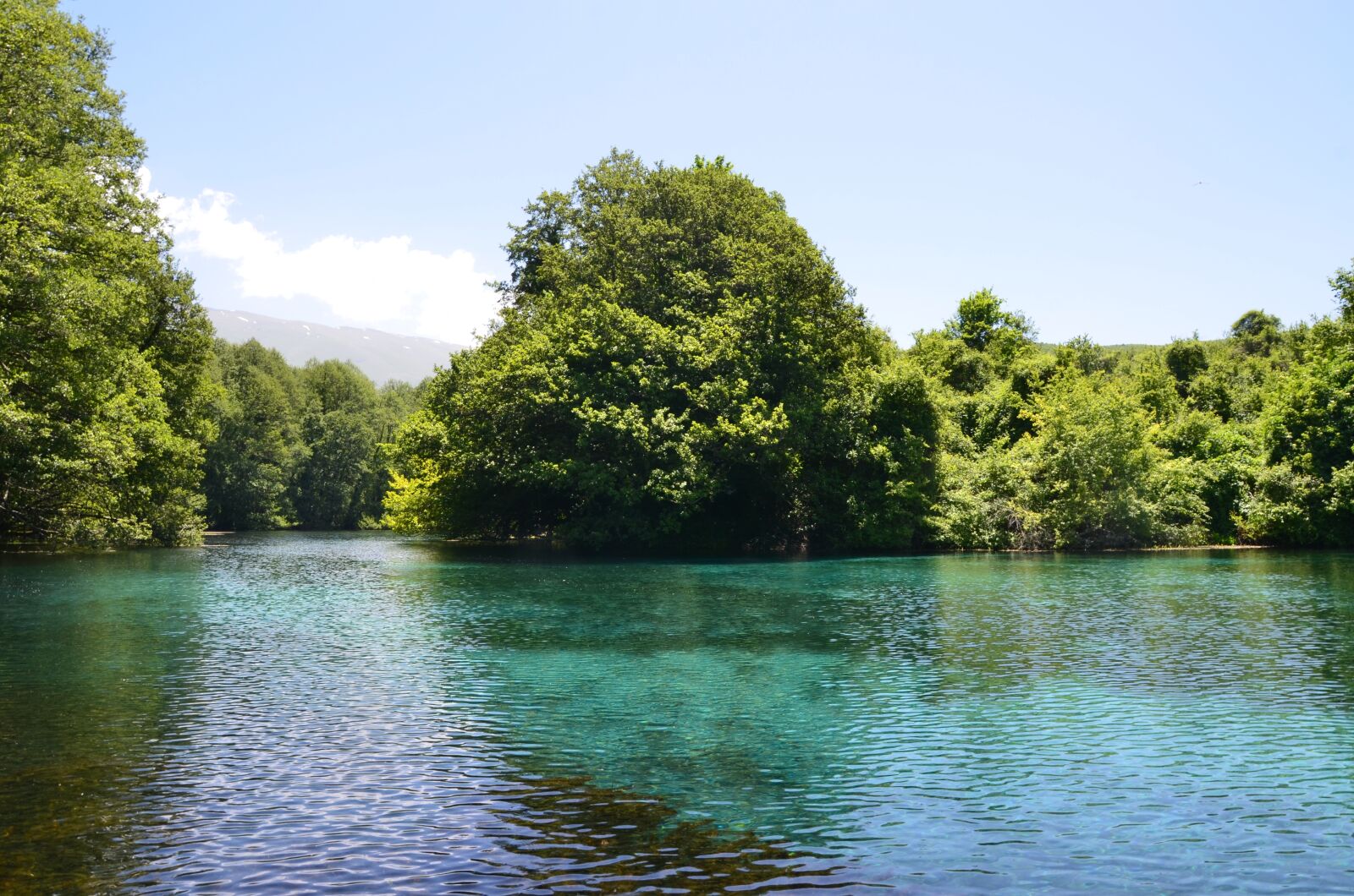 Nikon D7000 sample photo. Tree, nature, water photography