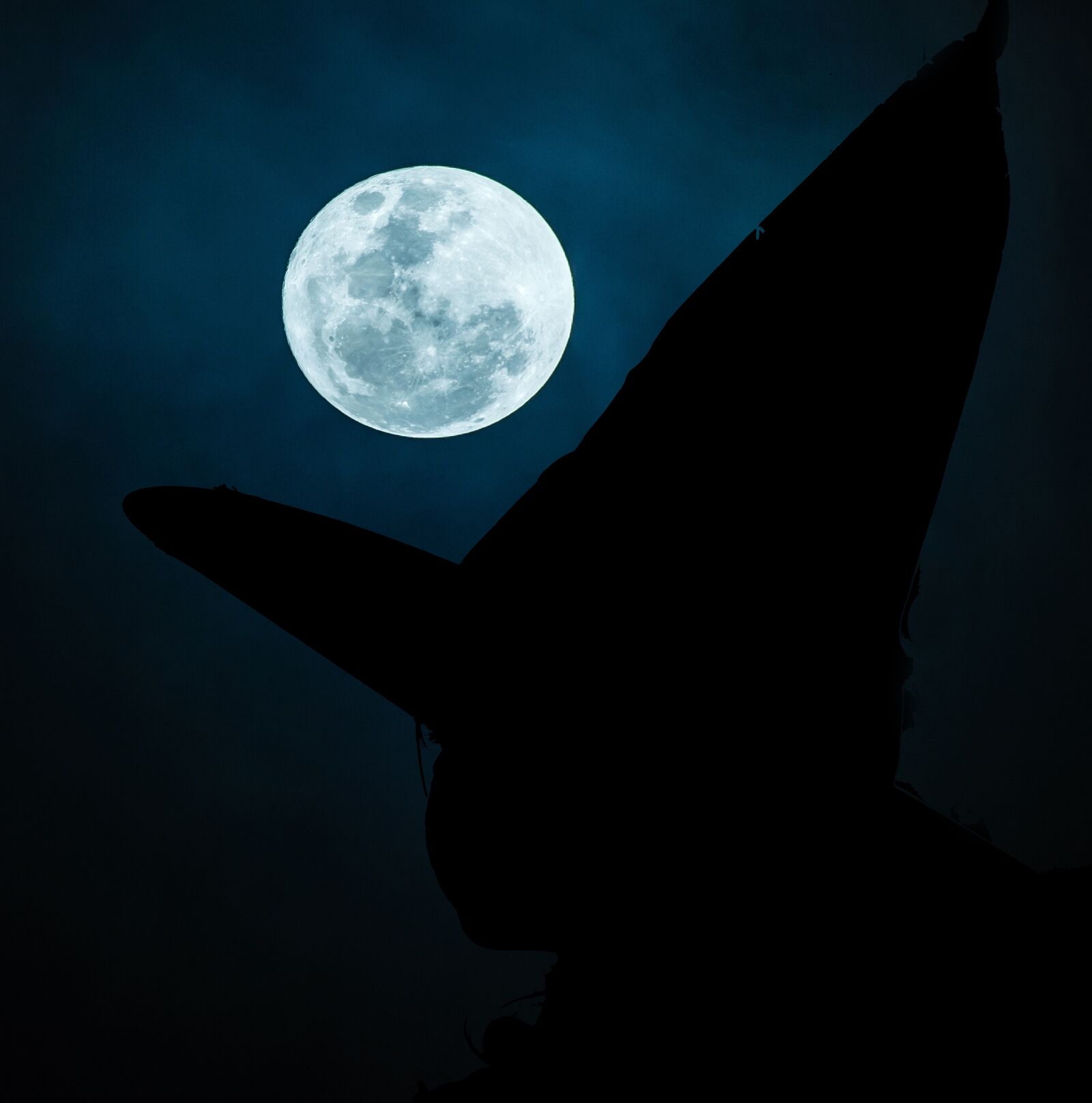 Canon EOS 200D (EOS Rebel SL2 / EOS Kiss X9) + Canon EF 50mm F1.8 STM sample photo. Witch, black, moon photography