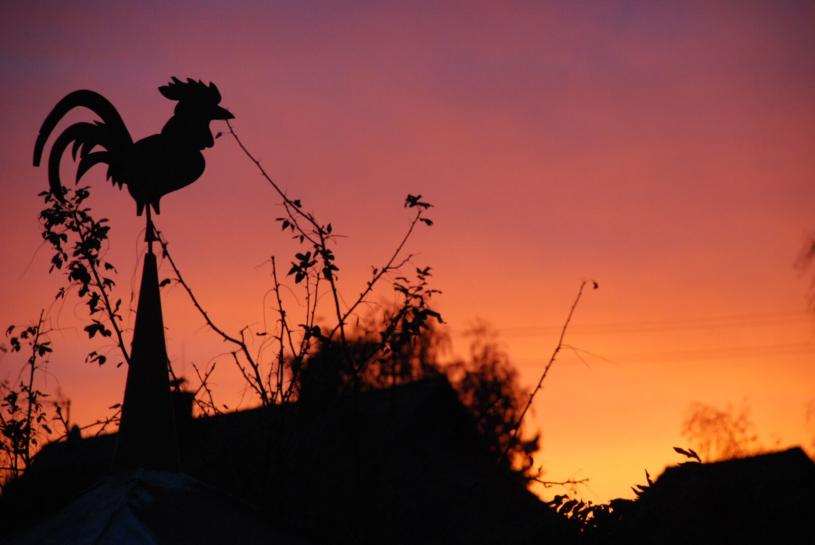 Nikon D60 sample photo. Weather vane, red sky photography
