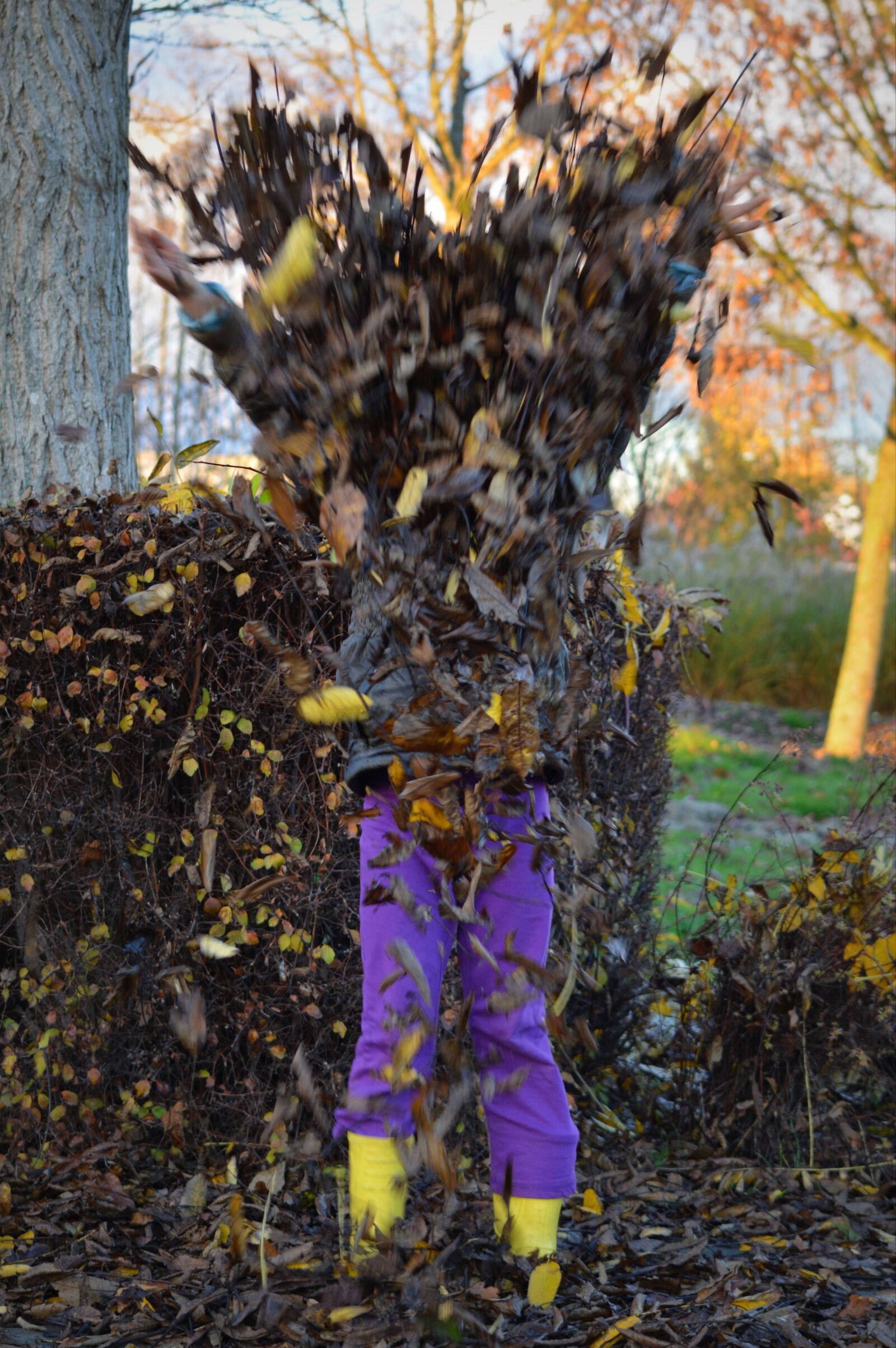 Nikon D5200 sample photo. People, leaves, autumn photography