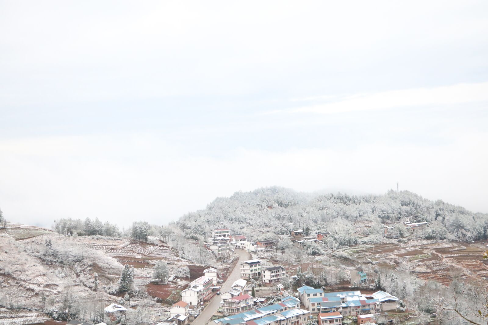 Canon EOS 760D (EOS Rebel T6s / EOS 8000D) sample photo. Snow, winter, white photography