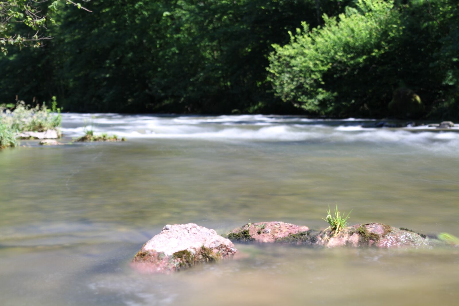 Canon EOS 7D sample photo. River, sihl, rapids photography