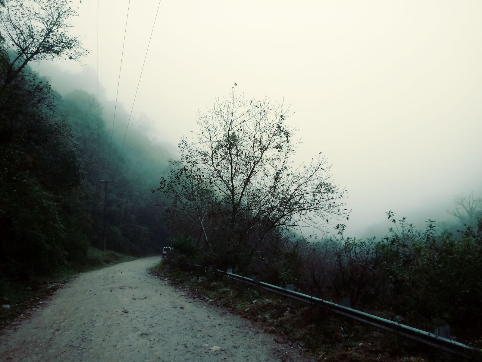 LG K10 (2017) sample photo. Forest, nature, landscape photography