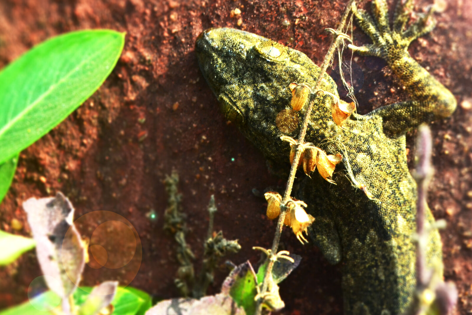 Nikon D3100 sample photo