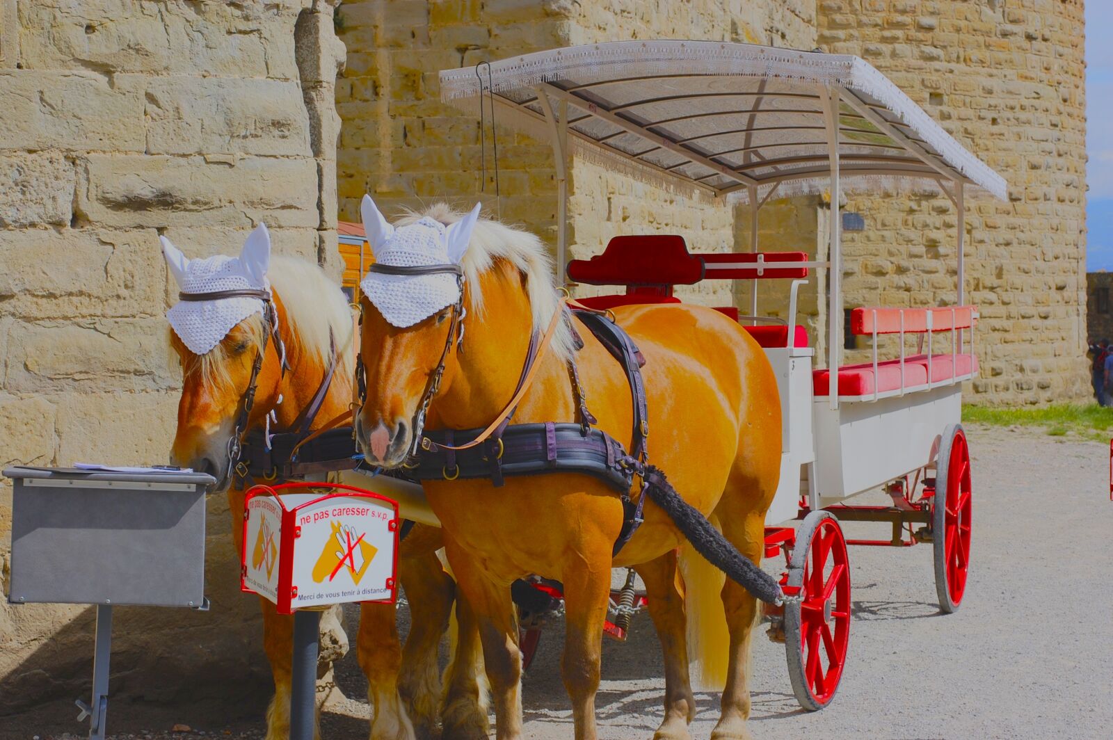 Nikon D40 sample photo. Carcassonne, horses, car photography