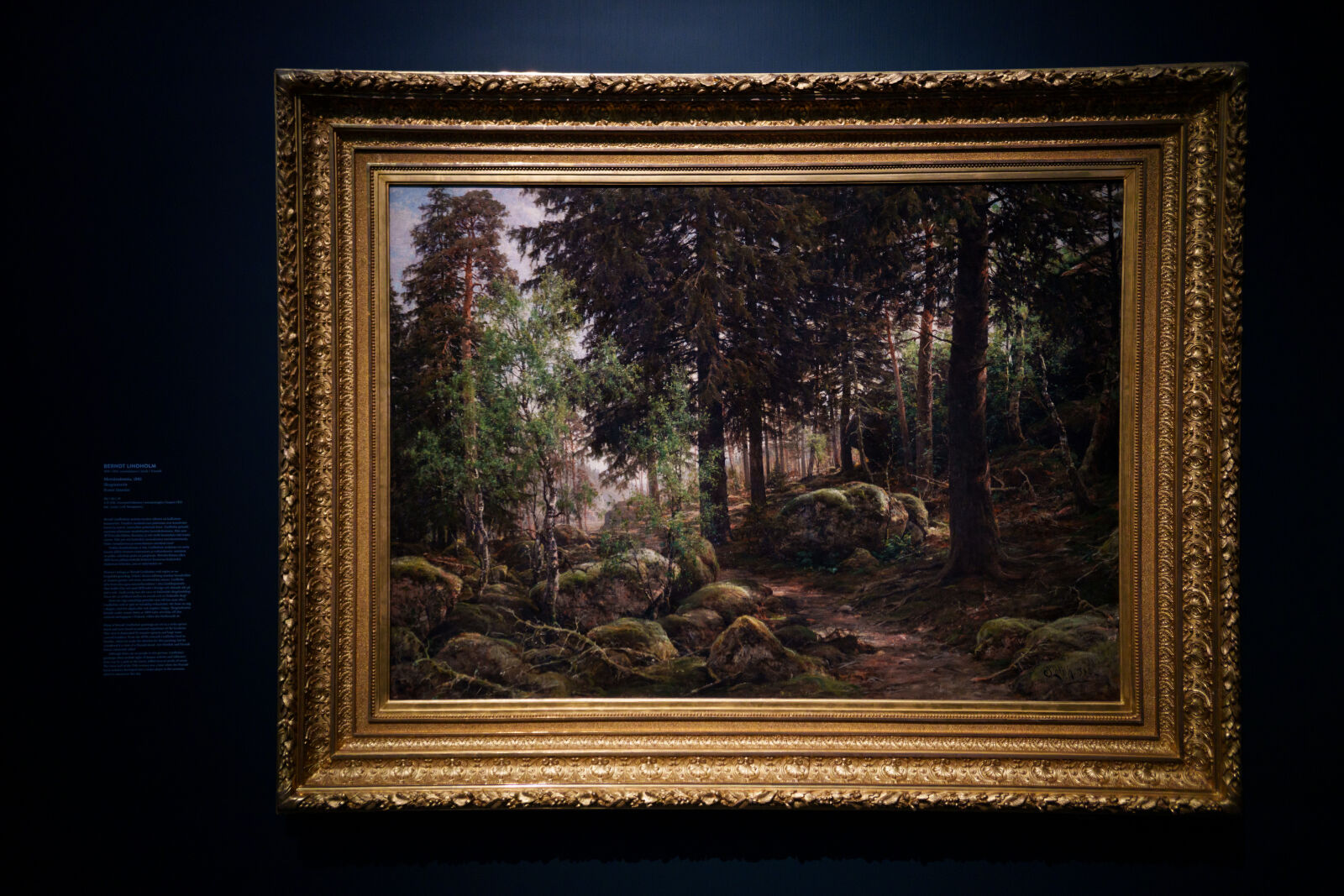 Sony a7R V sample photo. Exhibition artpiece photography