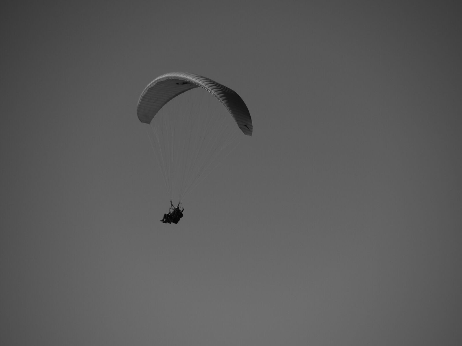 Olympus OM-D E-M5 II sample photo. Parachutist, high, leisure photography