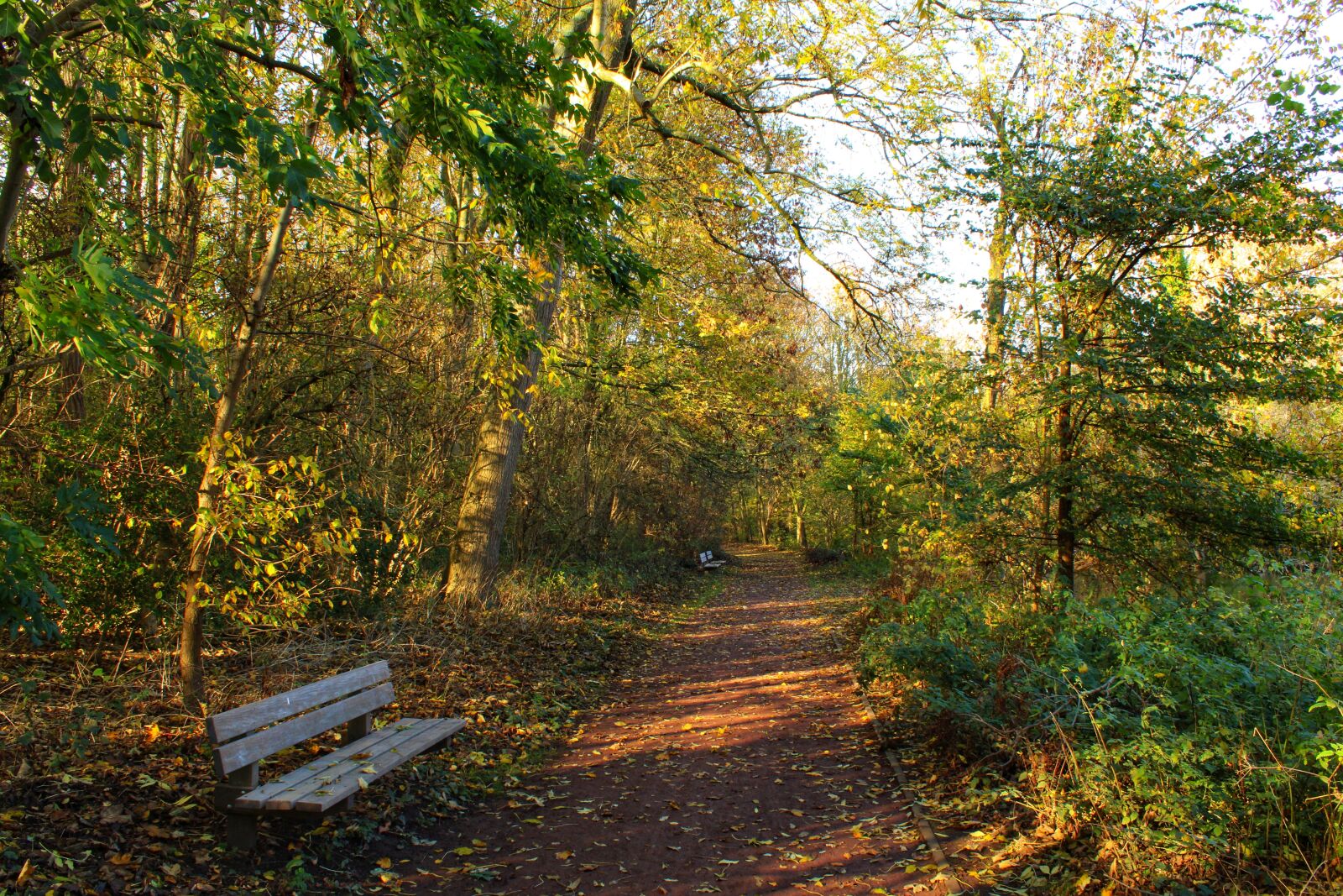Canon EOS 2000D (EOS Rebel T7 / EOS Kiss X90 / EOS 1500D) sample photo. Leaves, bench, autumnn photography