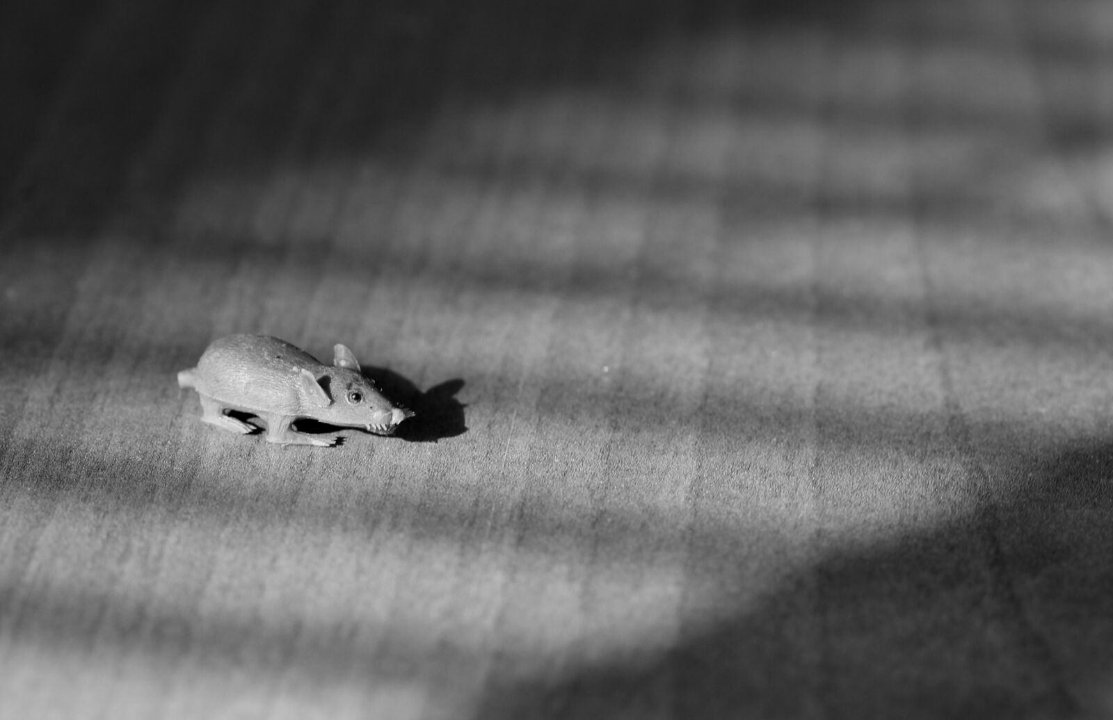 Canon EOS 700D (EOS Rebel T5i / EOS Kiss X7i) sample photo. Mouse, small, gray photography