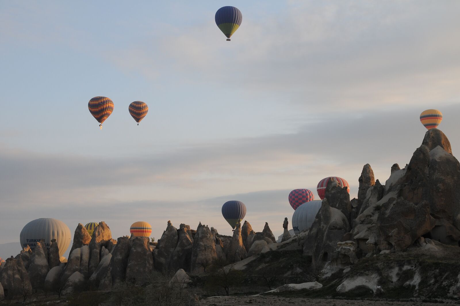Nikon D300 sample photo. Balloon, balloons, ballooning photography