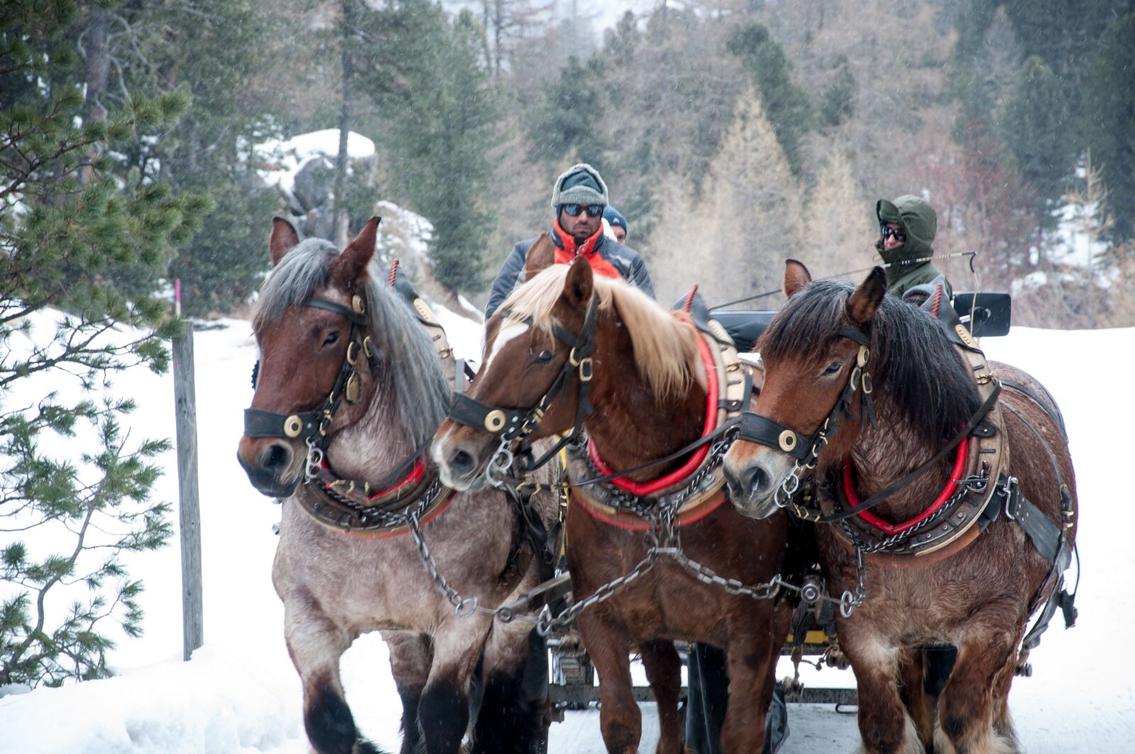 Nikon D90 sample photo. Engadine, slide, winter landscape photography