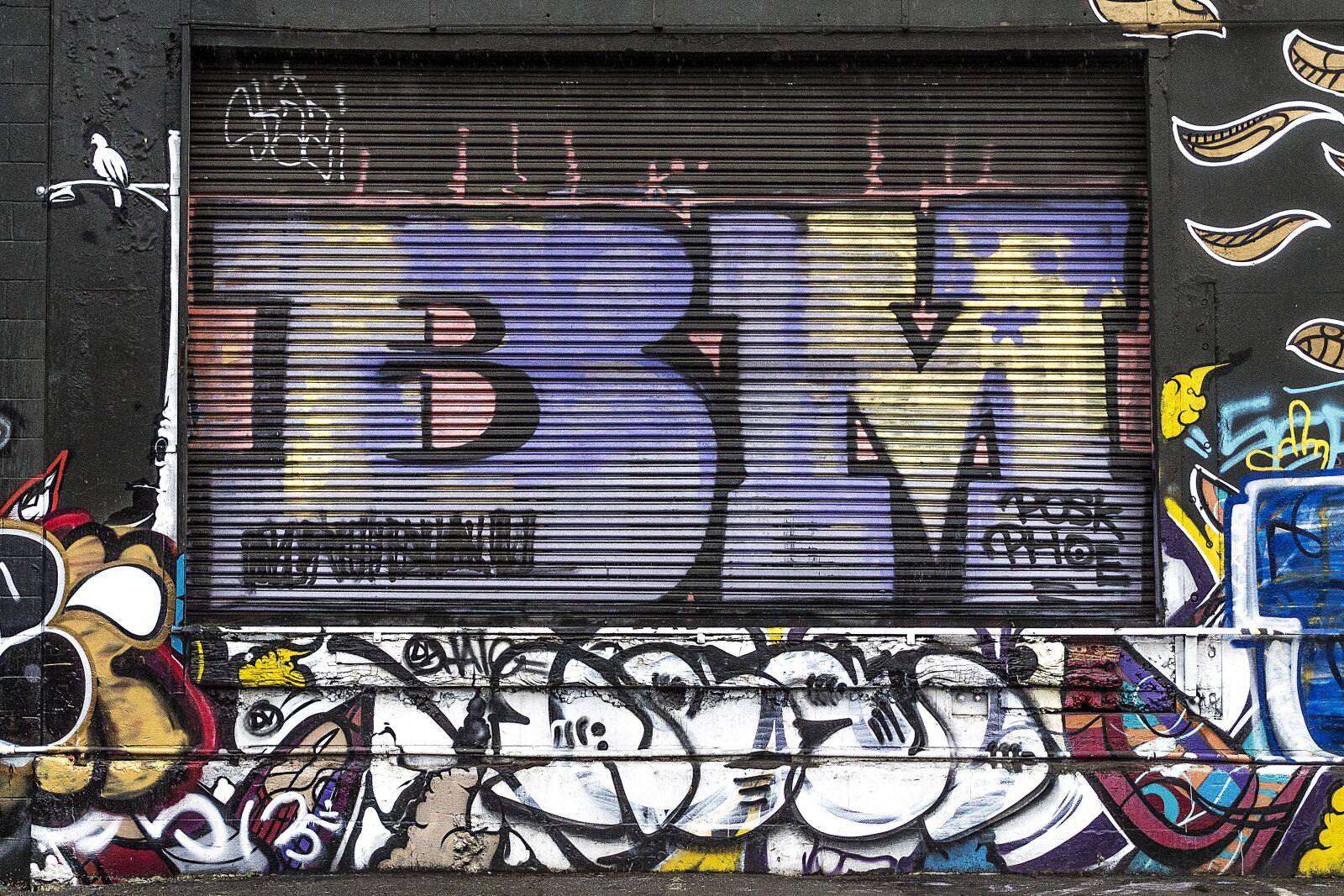 Canon EOS 1100D (EOS Rebel T3 / EOS Kiss X50) sample photo. Graffiti, background, grunge photography